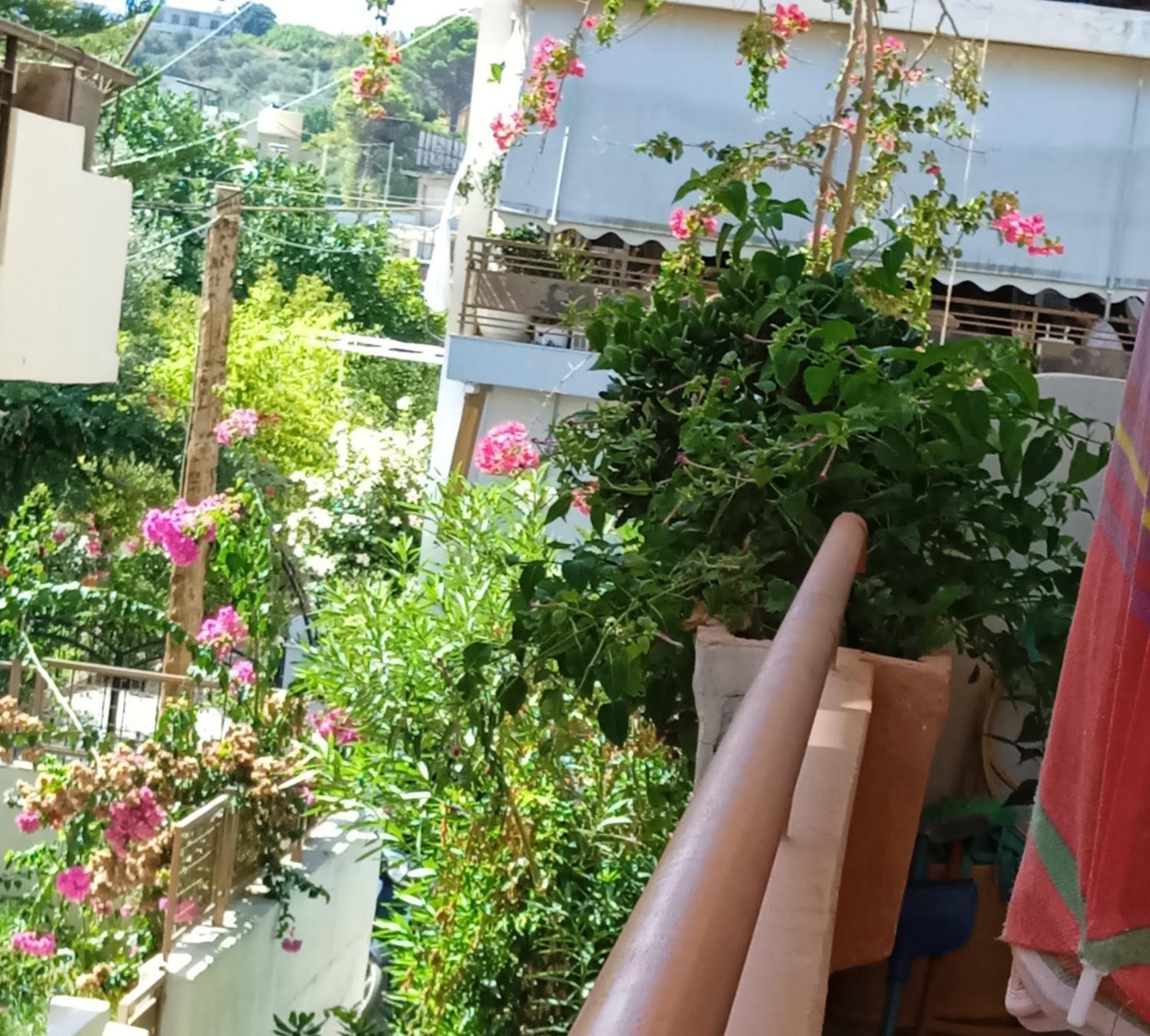 Ilona Apartments Chania Kato Daratso Rum bild