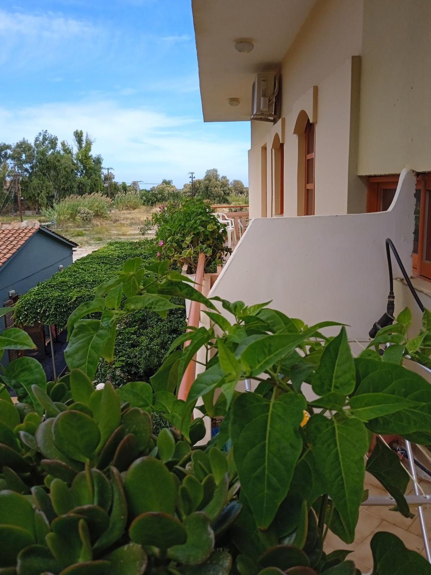 Ilona Apartments Chania Kato Daratso Rum bild