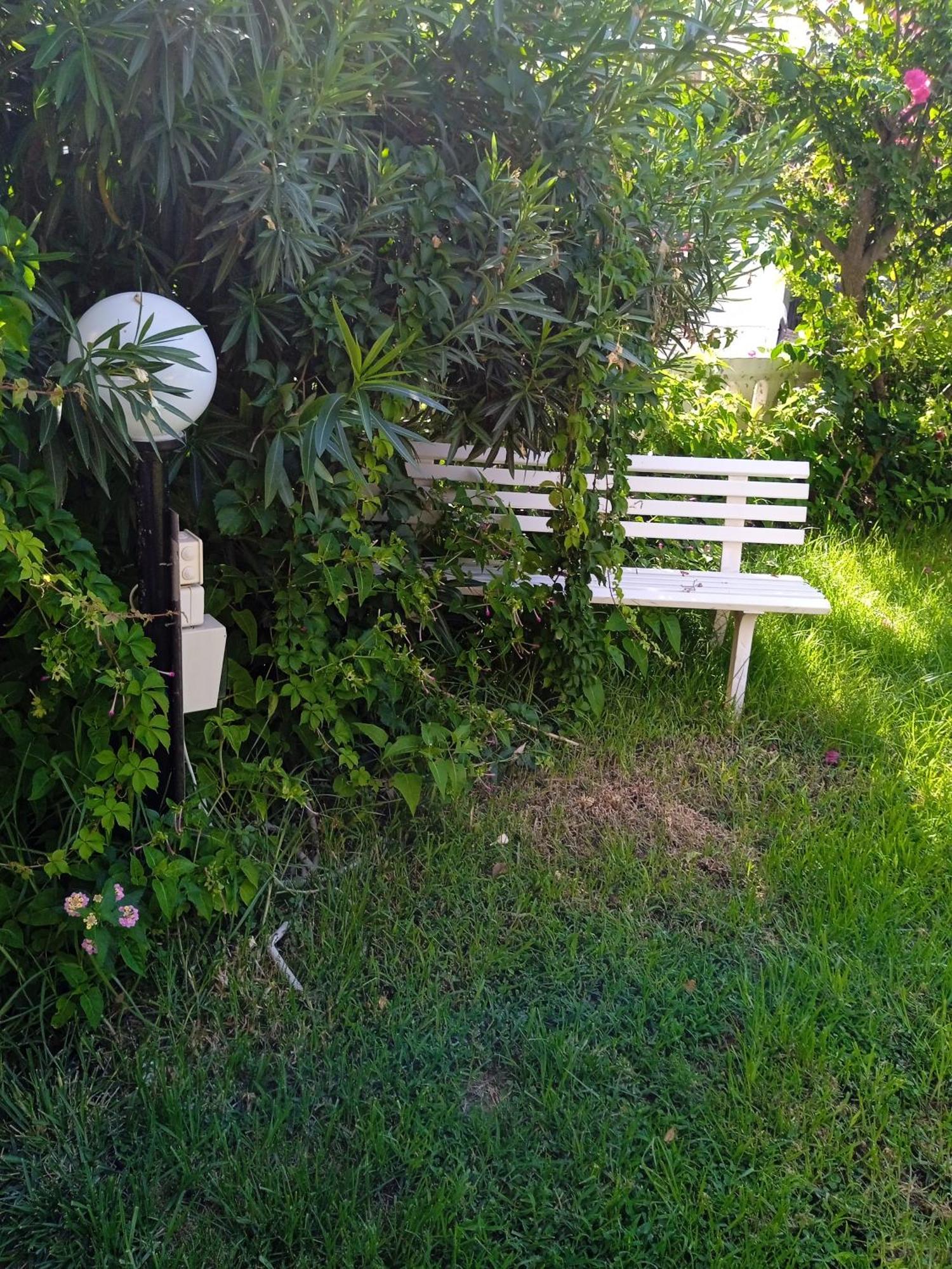 Ilona Apartments Chania Kato Daratso Rum bild