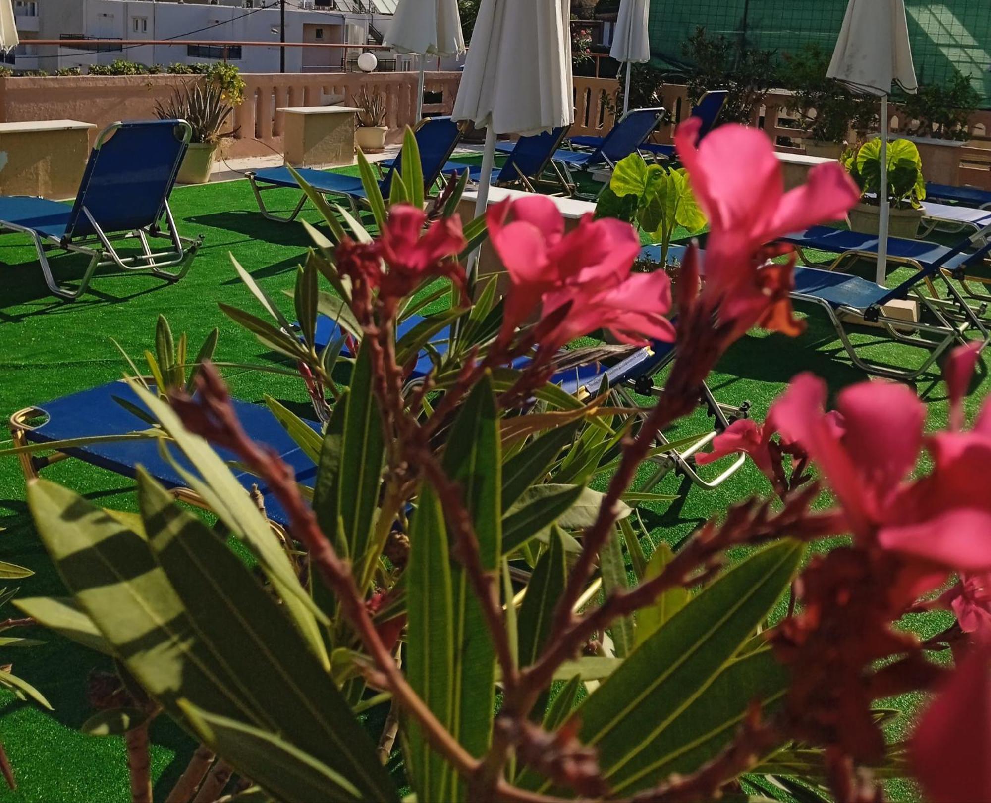 Ilona Apartments Chania Kato Daratso Rum bild